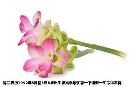 算命农历1992年5月初5晚8点出生求高手帮忙算一下谢谢一生命运怎样