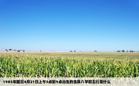 1985年阴历4月21日上午3点到9点出生的生辰八字和五行是什么