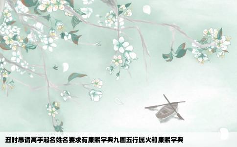 丑时恳请高手起名姓名要求有康熙字典九画五行属火和康熙字典