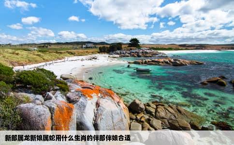 新郎属龙新娘属蛇用什么生肖的伴郎伴娘合适