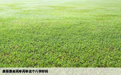 庚辰癸未丙申丙申这个八字好吗