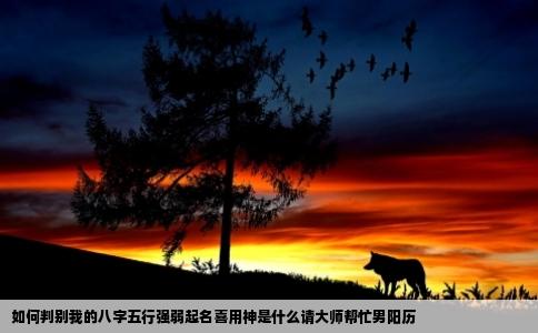 如何判别我的八字五行强弱起名喜用神是什么请大师帮忙男阳历