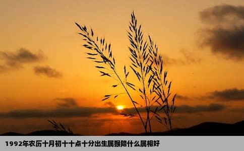 1992年农历十月初十十点十分出生属猴陪什么属相好