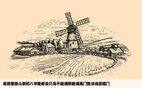 易数紫微斗数和八字我都会只是不精通想精通两门我该选择哪门