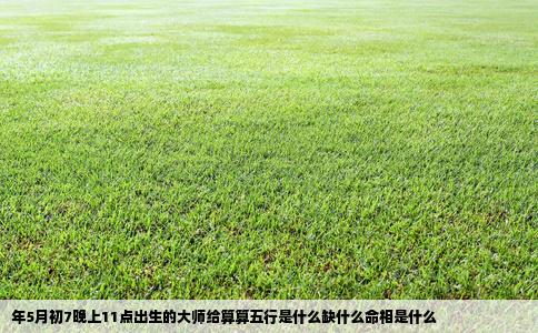 年5月初7晚上11点出生的大师给算算五行是什么缺什么命相是什么