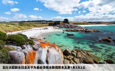 五行火旺缺水日主天干为金必须有水助但忌木太多1木3火2土