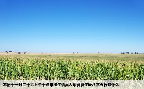 农历十一月二十六上午十点半出生请高人帮算算生辰八字五行缺什么