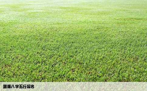 跟据八字五行起名