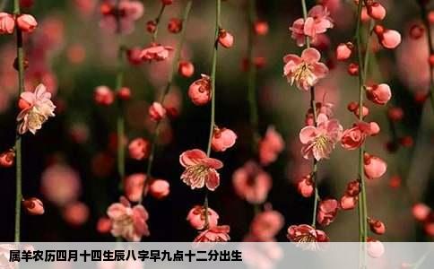 属羊农历四月十四生辰八字早九点十二分出生