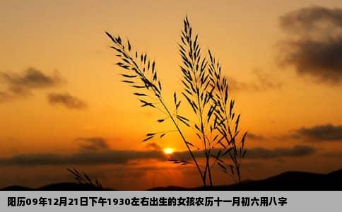 阳历09年12月21日下午1930左右出生的女孩农历十一月初六用八字