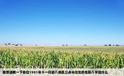 我想请教一下各位1991年十一月初八凌晨三点半出生的生辰八字是什么