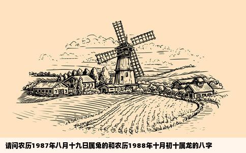 请问农历1987年八月十九日属兔的和农历1988年十月初十属龙的八字