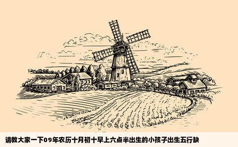 请教大家一下09年农历十月初十早上六点半出生的小孩子出生五行缺