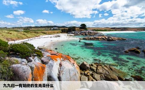 九九归一有始终的生肖是什么