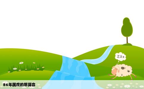 86年属虎的想算命