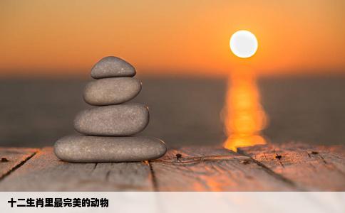 十二生肖里最完美的动物