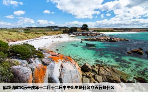 麻烦请教农历壬戌年十二月十二日中午出生是什么命五行缺什么