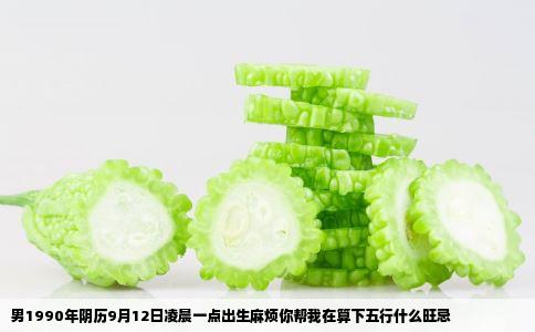男1990年阴历9月12日凌晨一点出生麻烦你帮我在算下五行什么旺忌