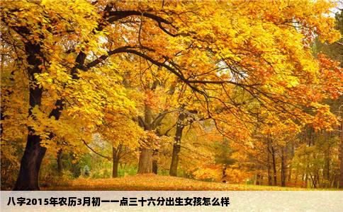 八字2015年农历3月初一一点三十六分出生女孩怎么样