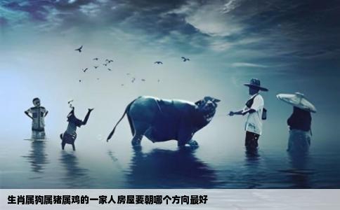 生肖属狗属猪属鸡的一家人房屋要朝哪个方向最好