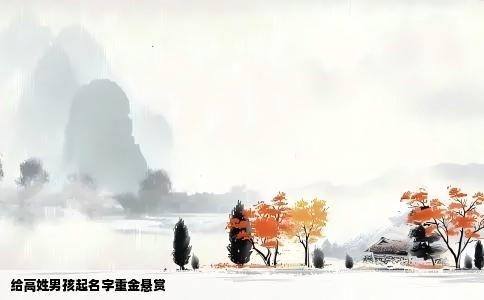 给高姓男孩起名字重金悬赏