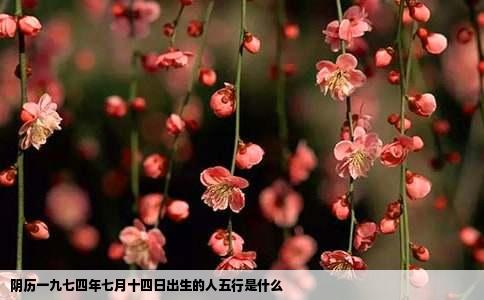 阴历一九七四年七月十四日出生的人五行是什么