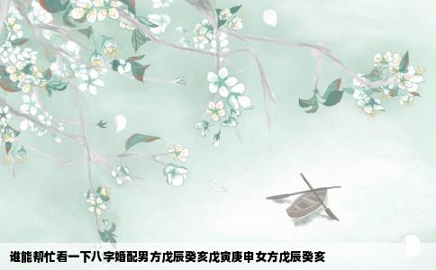 谁能帮忙看一下八字婚配男方戊辰癸亥戊寅庚申女方戊辰癸亥