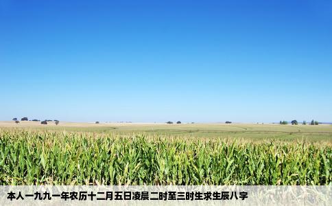 本人一九九一年农历十二月五日凌晨二时至三时生求生辰八字