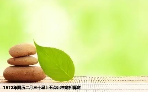 1972年阴历二月三十早上五点出生命相算命