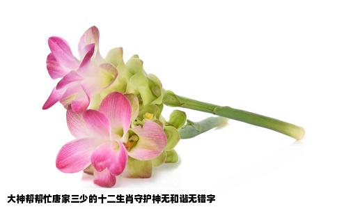 大神帮帮忙唐家三少的十二生肖守护神无和谐无错字