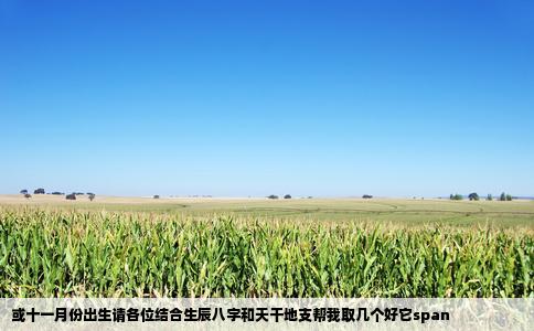 或十一月份出生请各位结合生辰八字和天干地支帮我取几个好它span