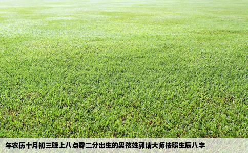 年农历十月初三晚上八点零二分出生的男孩姓郭请大师按照生辰八字