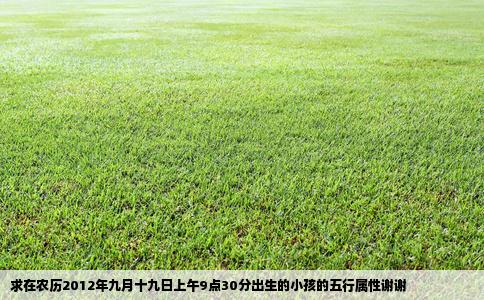 求在农历2012年九月十九日上午9点30分出生的小孩的五行属性谢谢