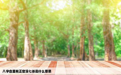 八字命里有正官没七杀是什么意思