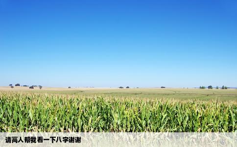 请高人帮我看一下八字谢谢