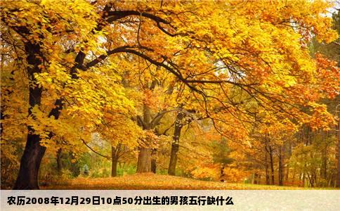 农历2008年12月29日10点50分出生的男孩五行缺什么