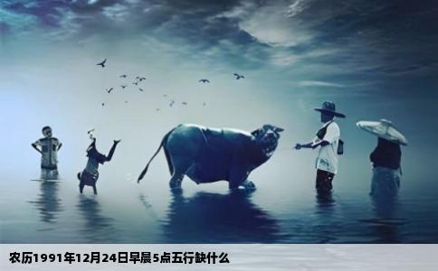 农历1991年12月24日早晨5点五行缺什么