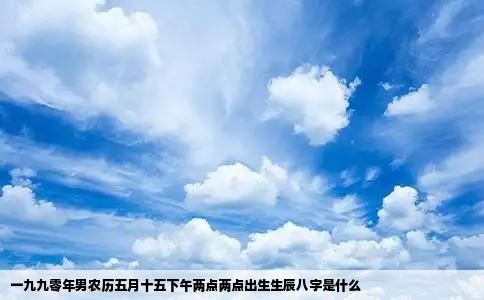 一九九零年男农历五月十五下午两点两点出生生辰八字是什么