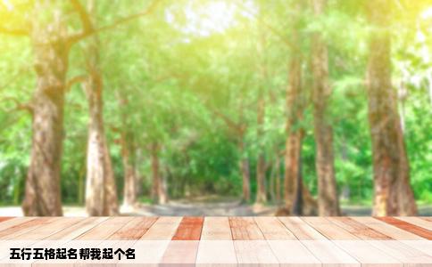 五行五格起名帮我起个名