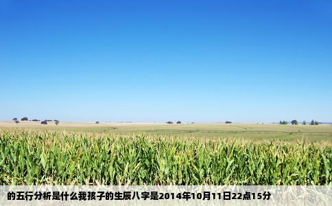 的五行分析是什么我孩子的生辰八字是2014年10月11日22点15分