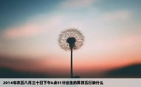 2014年农历八月三十日下午6点51分出生的男孩五行缺什么