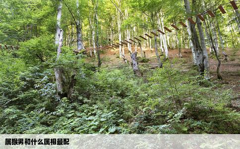 属猴男和什么属相最配