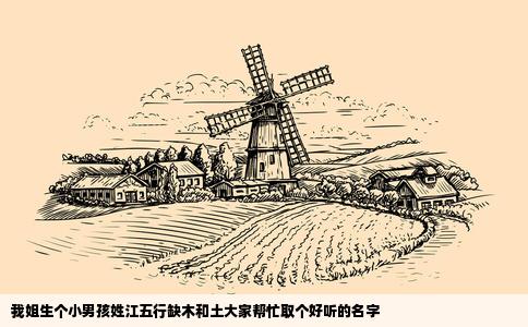 我姐生个小男孩姓江五行缺木和土大家帮忙取个好听的名字