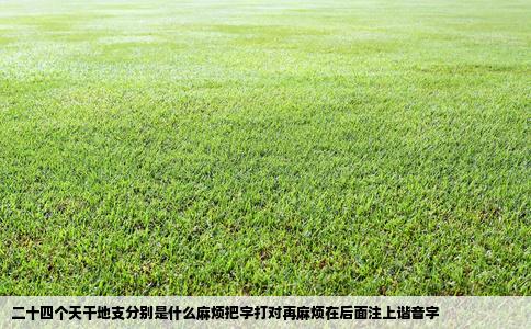 二十四个天干地支分别是什么麻烦把字打对再麻烦在后面注上谐音字