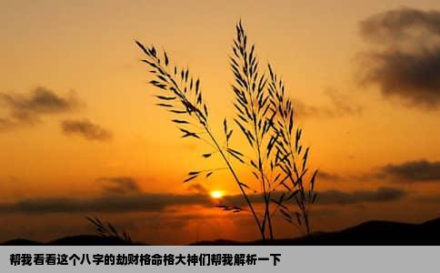 帮我看看这个八字的劫财格命格大神们帮我解析一下