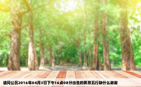 请问公历2016年04月3日下午16点08分出生的男孩五行缺什么谢谢