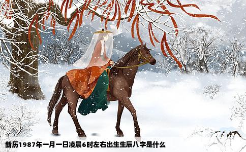新历1987年一月一日凌晨6时左右出生生辰八字是什么