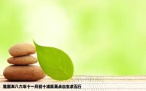 我朋友八六年十一月初十凌晨两点出生求五行
