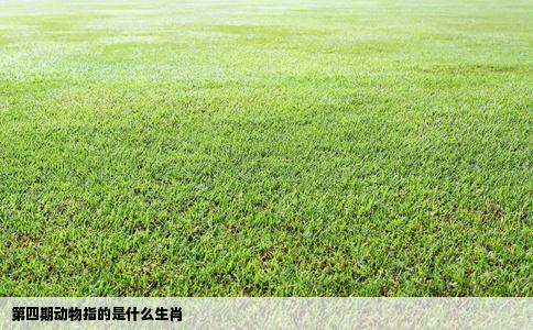 第四期动物指的是什么生肖