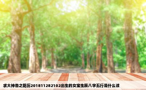 求大神告之阳历201811282102出生的女宝生辰八字五行是什么该